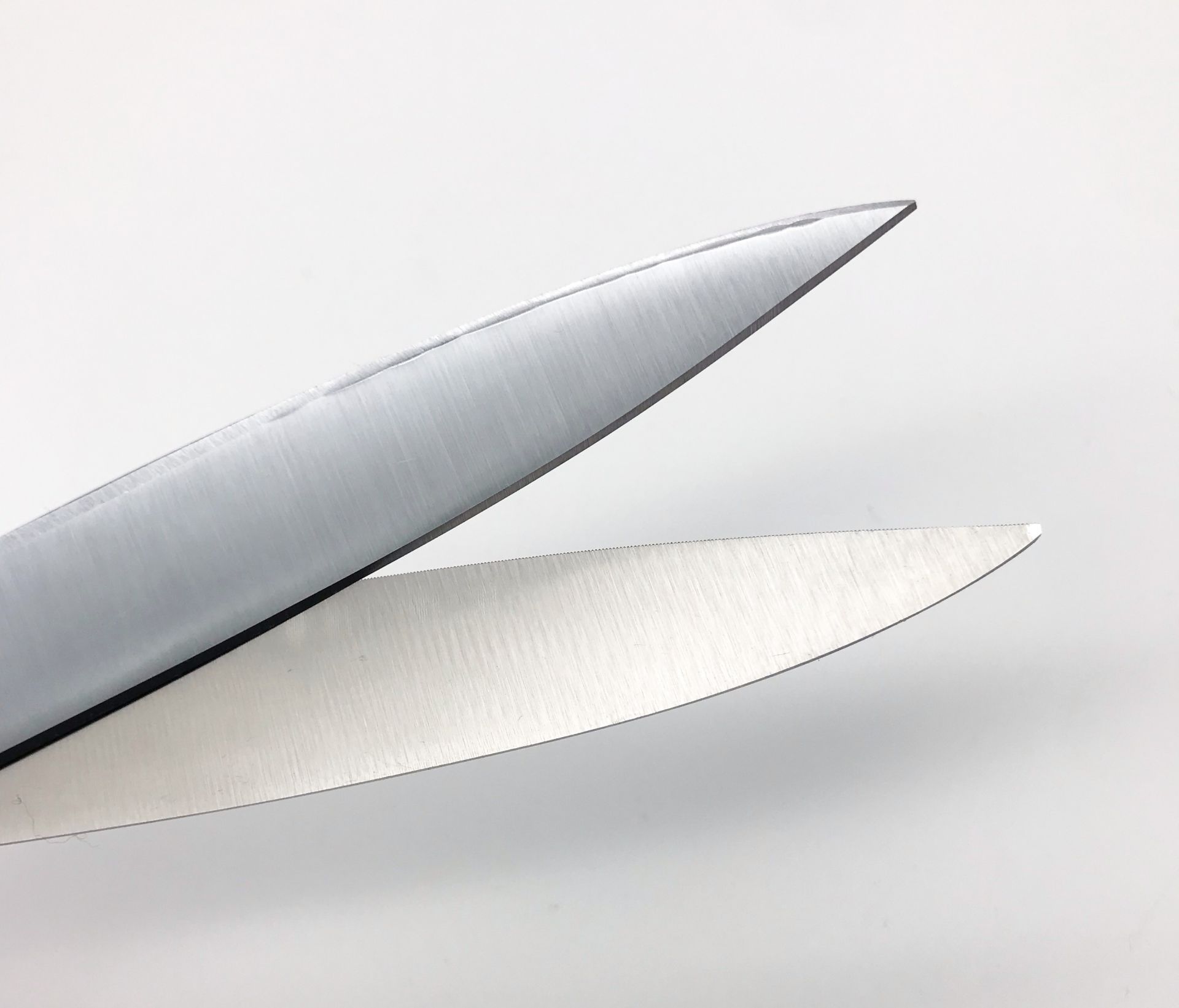ROBUSO-PROTON Trimming shears, coated 1024/S/10"