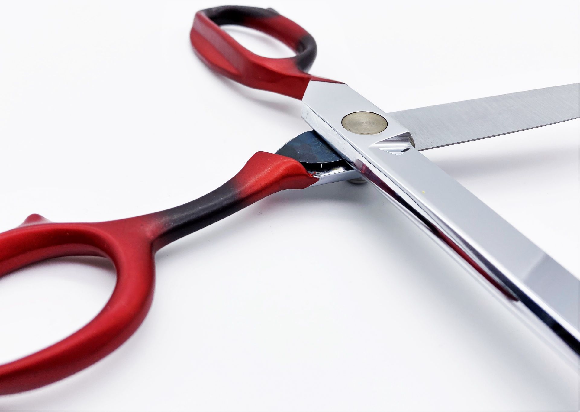 ROBUSO-PROTON Trimming shears, coated 1024/S/10"